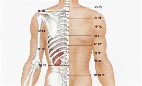 尾椎有痣|男人后背痣相最准图 尾椎有痣才学过人